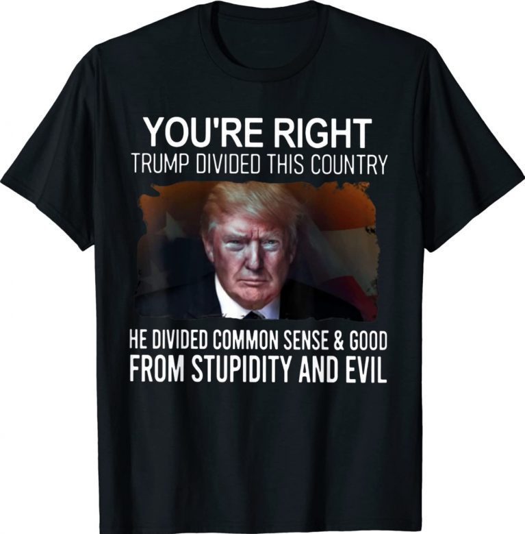 You're Right Trump Divided This Country He Divided Common 2022 TShirt