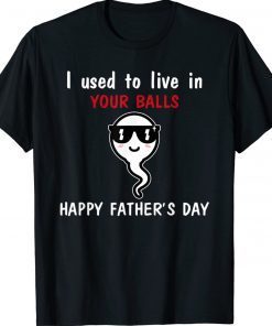 I used to live in your balls happy father’s day 2022 shirts