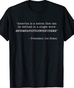 America Is A Nation That Can Be Defined In Single Word Biden Unisex TShirt