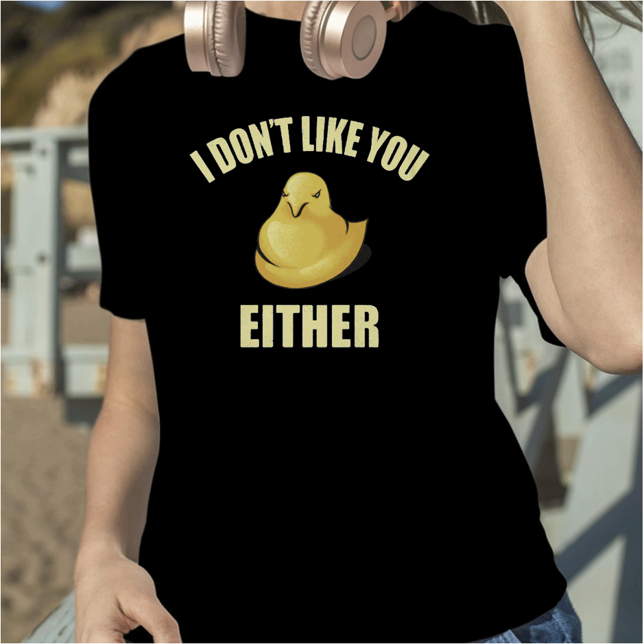 2023 I DON'T LIKE YOU EITHER SPRING T-SHIRT