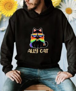 LGBT Ally Cat Be Kind Gay Rainbow Funny LGBTQ TShirt