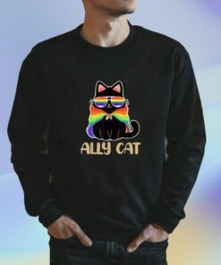 LGBT Ally Cat Be Kind Gay Rainbow Funny LGBTQ TShirt