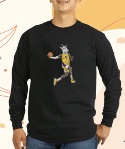 LeBron James Los Angeles Lakers GOAT Shot Shirts