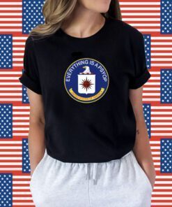 Everything Is A Psyop United States Of America Shirts