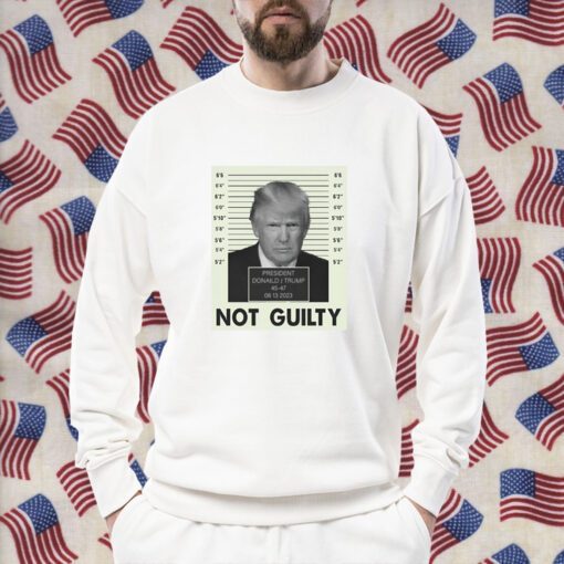 President Trump Not Guilty 45 47 06 13 2023 TShirt