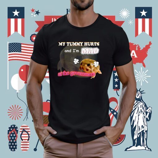 My Tummy Hurts And I'm MAD At The Government Meme TShirt