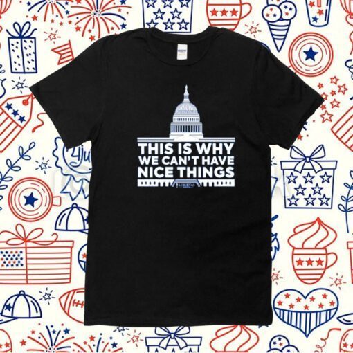 This Is Why We Can't Have Nice Things 2023 Shirt