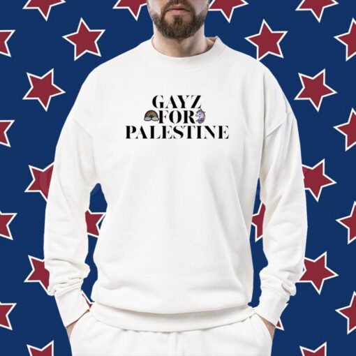 Gayz For Palestine Tee Shirt