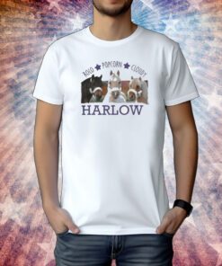 Harlow And Popcorn Merch Harlow’s Three Ponies Tee Shirt