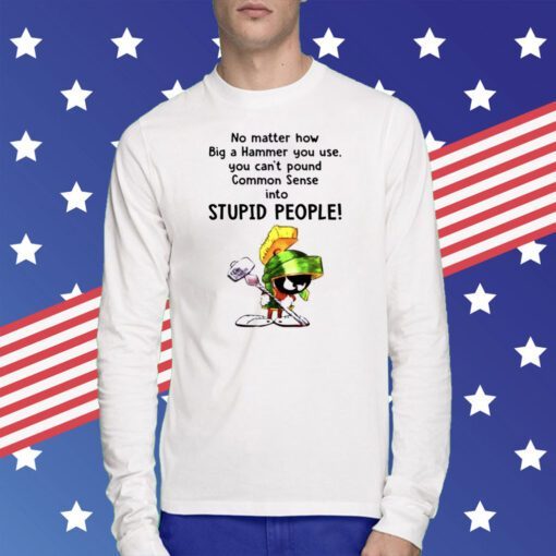 No Matter How Big A Hammer You Use You Can’t Pound Common Sense Into Stupid People T-Shirt