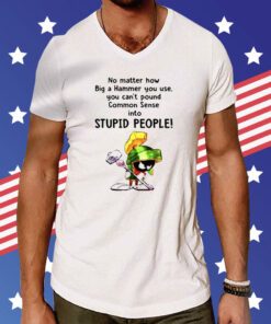 No Matter How Big A Hammer You Use You Can’t Pound Common Sense Into Stupid People T-Shirt