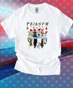 St Friends Christmas 2024 Tee Shirt