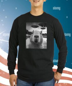 Capybara Selfie With UFOs Weird Sweatshirt
