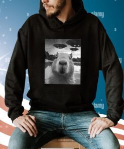 Capybara Selfie With UFOs Weird Sweatshirts
