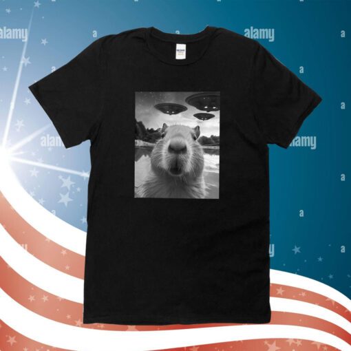 Capybara Selfie With UFOs Weird Sweatshirt