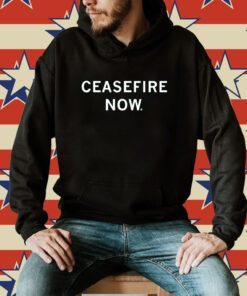 Ceasefire Now Gaza Children Hoodie T-Shirt