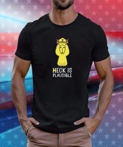 Heck Is Plausible 2023 Hoodie T-Shirt