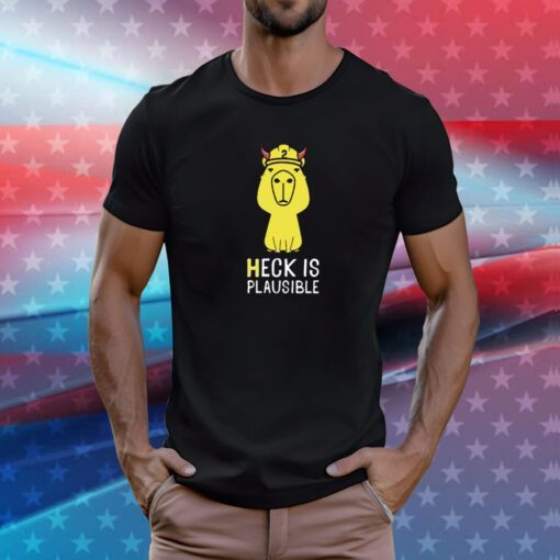 Heck Is Plausible 2023 Hoodie T-Shirt