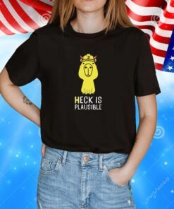 Heck Is Plausible 2023 Hoodie T-Shirts