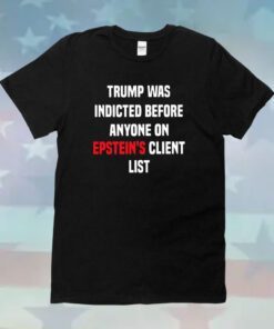 Joel Bauman Trump Was Indicted Before Anyone On Epstein’s Client List Hoodie Shirt