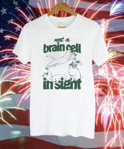 Not A Brain Cell In Sight T-Shirt