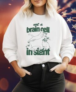 Not A Brain Cell In Sight Sweatshirt