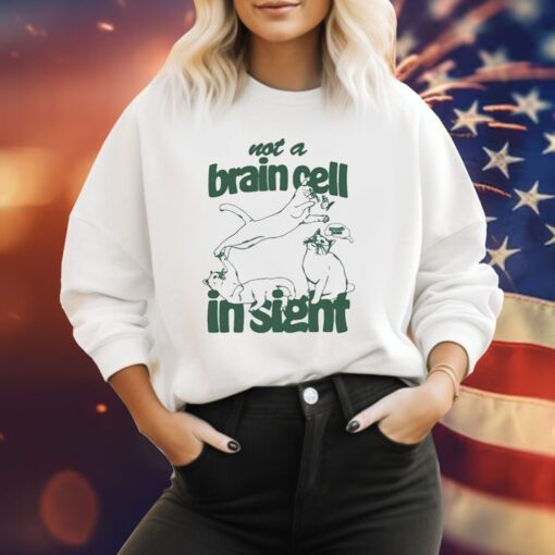 Not A Brain Cell In Sight Sweatshirt