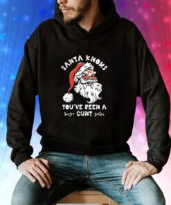 Santa Claus Knows You’ve Been A Cunt Christmas Hoodie