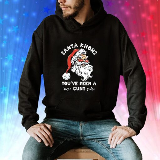 Santa Claus Knows You’ve Been A Cunt Christmas Hoodie