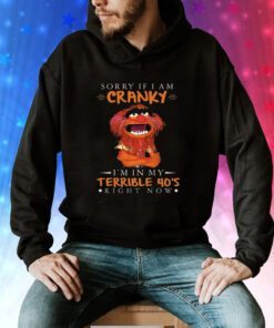 Sorry If I Am Cranky Im In My Terrible 40s Right Now Hoodie T-Shirts