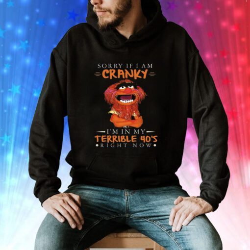 Sorry If I Am Cranky Im In My Terrible 40s Right Now Hoodie T-Shirts