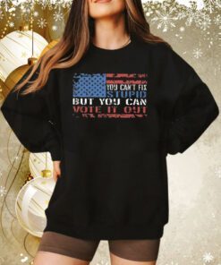 You Can’t Fix But You Can Vote It Out Sweatshirt