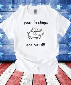 Your Feelings Are Valid Hoodie T-Shirt