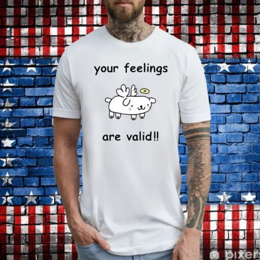 Your Feelings Are Valid Hoodie T-Shirts