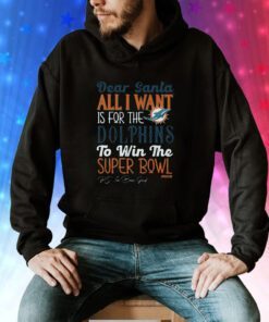 Dear Santa All I Want Is For The Miami Dolphins To Win The Super Bowl Hoodie