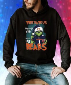 Grinch They Hate Us Because They Ain’t Us Bears Hoodie