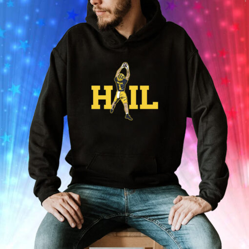 Michigan HAIL Wilson Hoodie