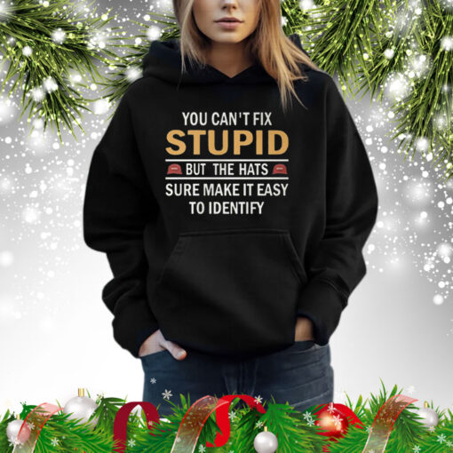 You Can’t Fix Stupid But The Hats Sure Make It Easy To Identify Hoodie