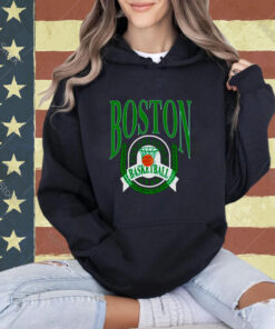 Boston Basketball Establish 1946 vintage T-shirt