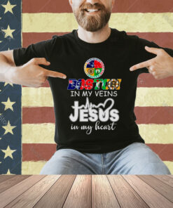 Boston Sports teams in my veins Jesus in my heart T-shirt