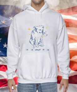 It Is What It Is Dog Hoodie Shirt