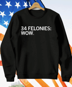 34 Felony Counts Wow T-Shirt