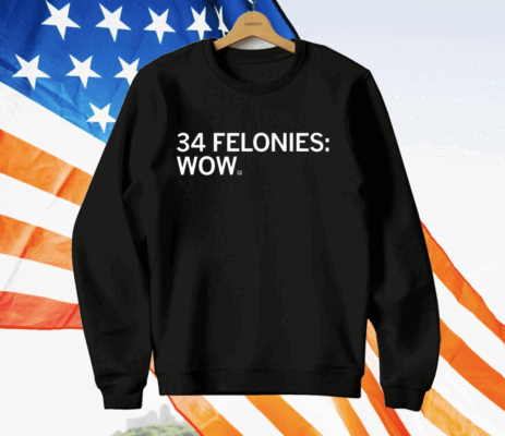 34 Felony Counts Wow T-Shirt