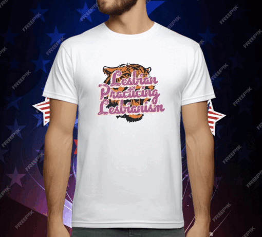 Quinton Reviews Cool Cat Ladies Boyfriend T-Shirt