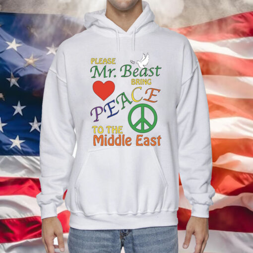 Please Mr. Beast Bring Peace To The Middle East Hoodie