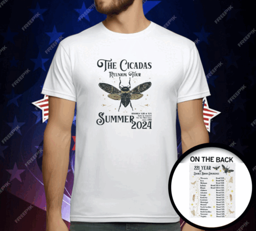 The Cicadas Reunion Tour Graphic Tee Summer 2024 T-Shirt