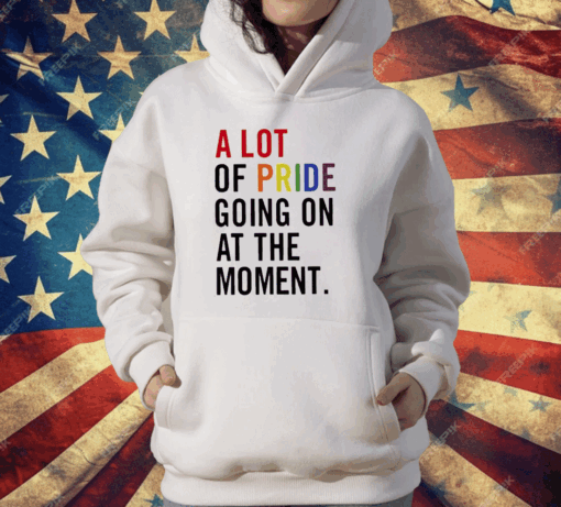 A Lot Of Pride Going On At The Moment T-Shirt