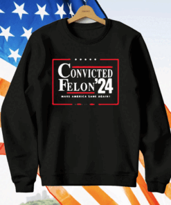 Convicted Felon 24 Make America Sane Again T-Shirt