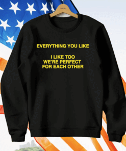 Everything You Like I Like Too We’re Perfect For Each Other T-Shirt