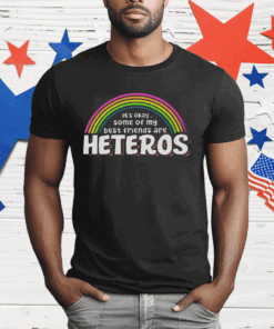 It’s Ok Some Of My Best Friends Are Heteros T-Shirt